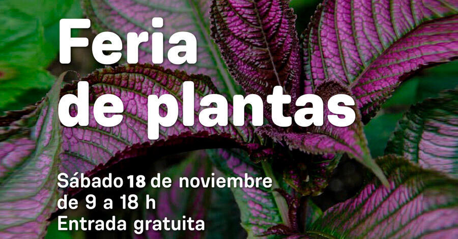 Col N Portal Feria De Plantas En El Jard N Nico De Montevideo