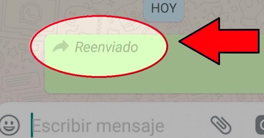 Colón Portal Cómo Reenviar Sin Que Aparezca La Etiqueta De Reenviado En Whatsapp 5971