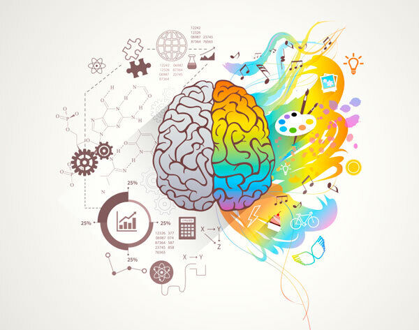 cerebro pequenos descansos2