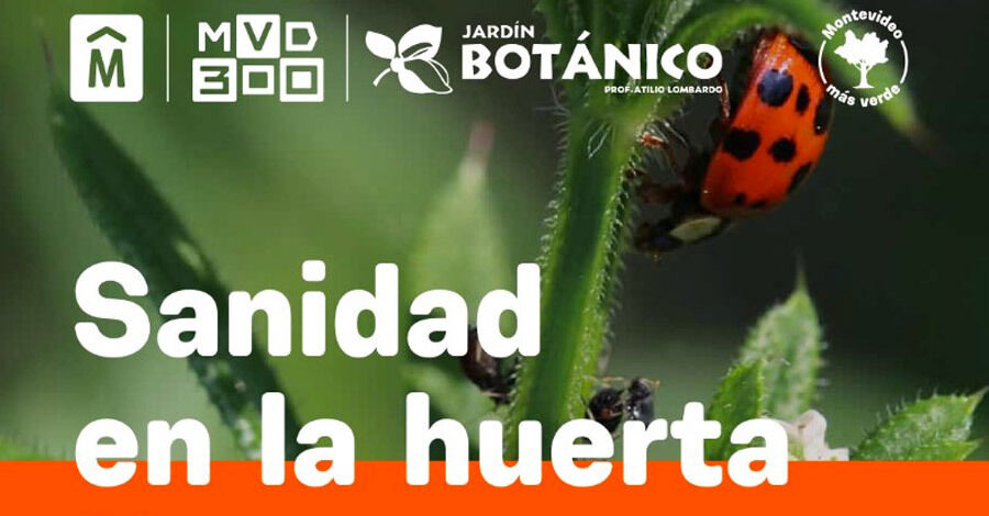 Charla virtual &quot;Promoviendo la sanidad en la huerta”