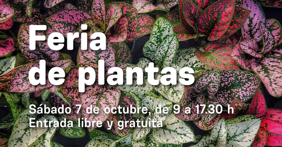 Feria de Plantas en el Jardín Botánico 