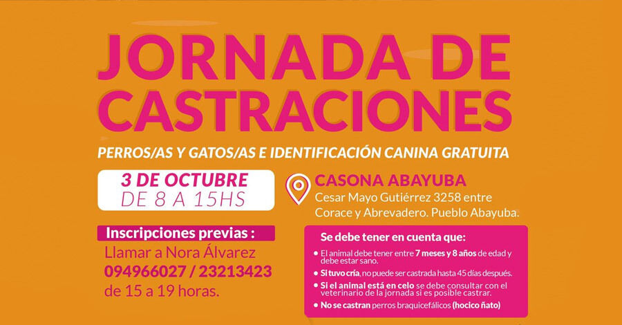 Jornada de castraciones en la Casona de Abayubá