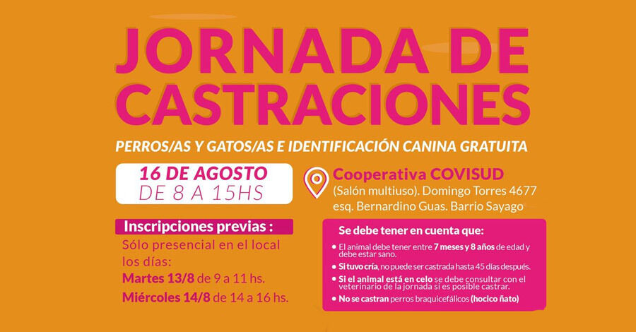 Nueva jornada de castraciones en el Municipio G