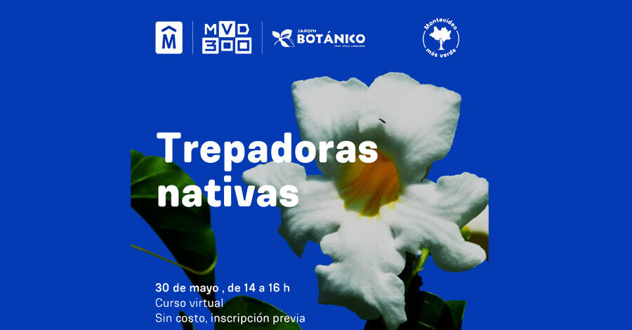 Curso Virtual de "Trepadoras Nativas”en el Jardín Botánico