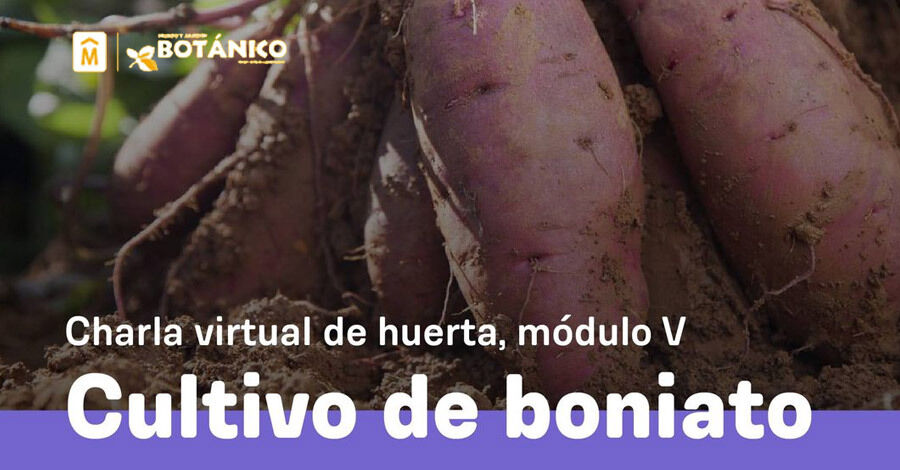 Charla virtual de huerta del Jardín Botánico