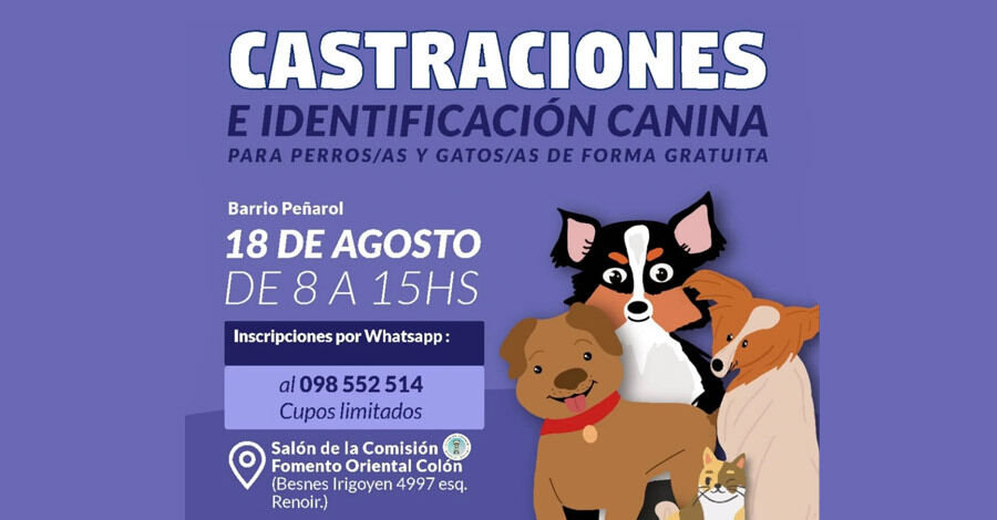 Castraciones gratuitas en el Salón de la Comisión Oriental Colón