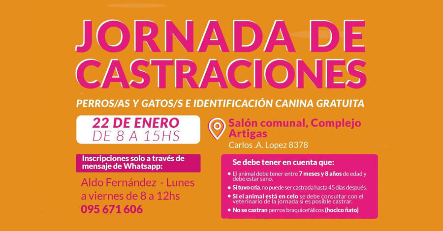 Castraciones gratuitas en el Salón Comunal Complejo Artigas