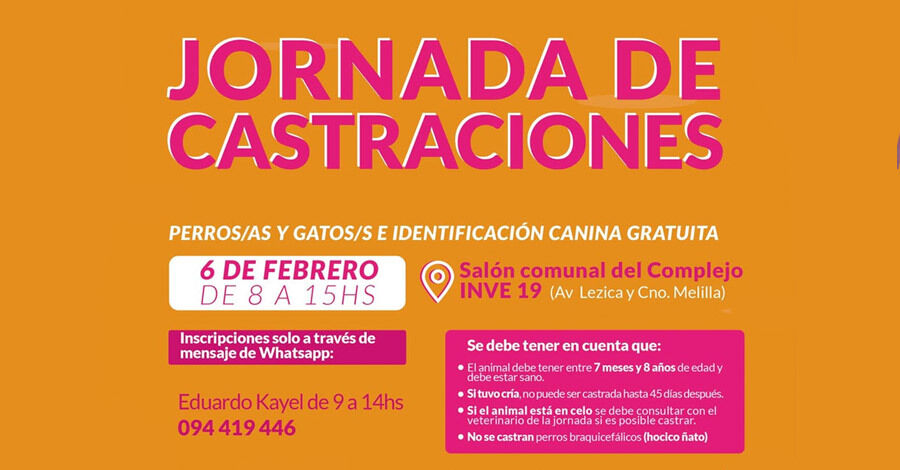 Castraciones gratuitas en el Salón Comunal del Complejo INVE19