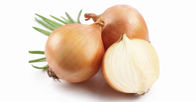cebollas