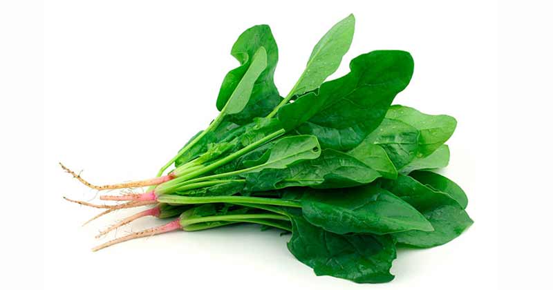 espinaca