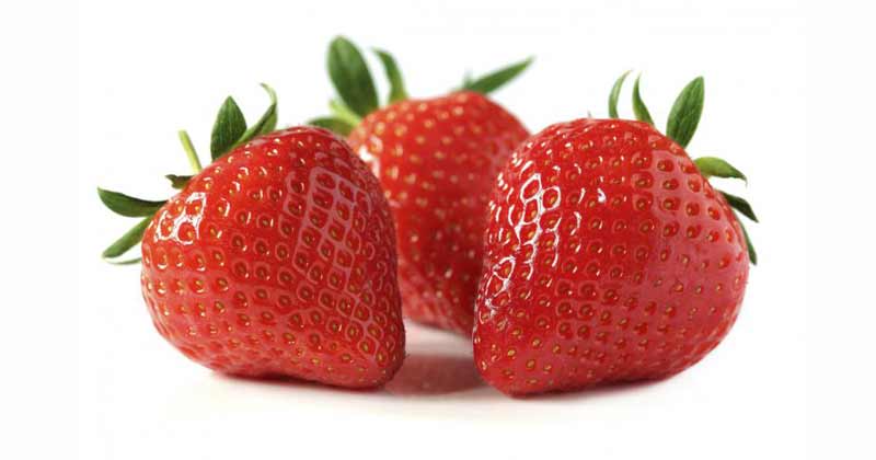 frutilla