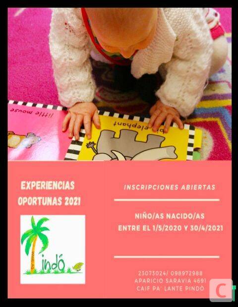 caif pindo