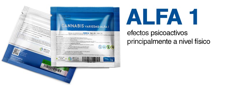 Cannabis Alfa1