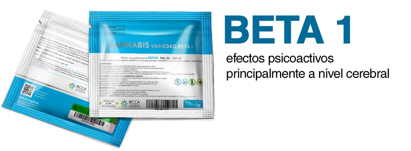 Cannabis Beta1